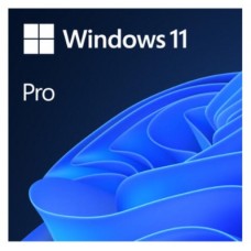 LIC OEM WIN 11 HOME 64BIT EN LIC OEM WIN 11 HOME 64BIT EN