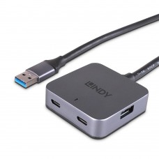Hub Lindy 4 Port USB 3.0 5m
