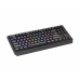Tastatura WS Genesis Thor 230 TKL R ng