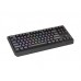 Tastatura WS Genesis Thor 230 TKL R ng