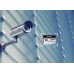 MICROSD 32 CLASS 10 UHS-I SDCE/32GB W/A