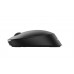 Mouse Philips SPK7407, wireless + BT