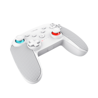 Controller Trust Muta Nintendo Switch al